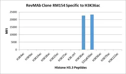 Anti-Histone H3K36ac (Acetyl Lys36) antibody [RM154] used in  (). GTX60881