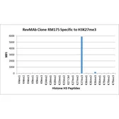 Anti-Histone H3K27me3 (Tri-methyl Lys27) antibody [RM175] used in  (). GTX60892