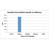 Anti-Histone H4R3me1 (Monomethyl Arg3) antibody [RM195] used in  (). GTX60904
