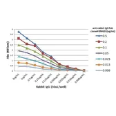 Goat Anti-Rabbit IgG (Fab) antibody [RMG01]. GTX60921
