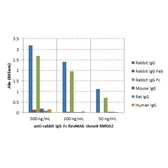 Goat Anti-Rabbit IgG (Fc) antibody [RMG02]. GTX60922