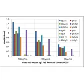 Goat Anti-Mouse IgG (Fab) antibody [RMG05]. GTX60923