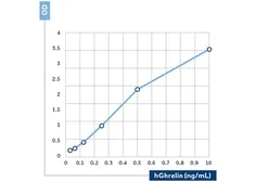 Anti-Ghrelin antibody [121] (Biotin) used in ELISA (ELISA). GTX60947-02