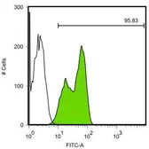 Anti-Lin28A antibody [GT717] used in Flow cytometry (FCM). GTX628138