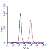 Anti-CD14 antibody [GT0009] used in Flow cytometry (FCM). GTX628421