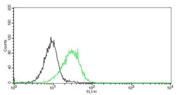 Anti-CD11a antibody [GT0011] used in Flow cytometry (FACS). GTX628423