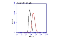 Anti-p21 Cip1 antibody [GT8611] used in Flow cytometry (FACS). GTX629627