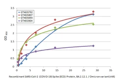 Anti-SARS-CoV / SARS-CoV-2 (COVID-19) spike antibody [1A9] used in ELISA (ELISA). GTX632604