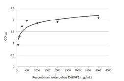 Anti-Enterovirus D68 VP1 antibody [GT11610] used in ELISA (ELISA). GTX633688