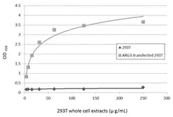 Anti-Arginase 1 antibody [GT5811] used in ELISA (ELISA). GTX634218