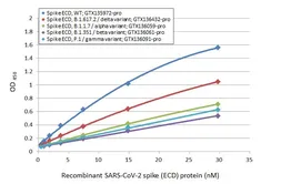 Anti-SARS-CoV-2 (COVID-19) Spike S1 antibody [HL263] used in ELISA (ELISA). GTX635672