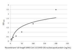 Anti-SARS-CoV-2 (COVID-19) Nucleocapsid antibody [HL249] used in ELISA (ELISA). GTX635678