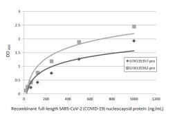 Anti-SARS-CoV-2 (COVID-19) Nucleocapsid antibody [HL344] used in ELISA (ELISA). GTX635679