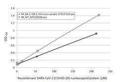 Anti-SARS-CoV-2 (COVID-19) Nucleocapsid antibody [HL5410] used in ELISA (ELISA). GTX635685