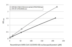 Anti-SARS-CoV-2 (COVID-19) Nucleocapsid antibody [HL5511] used in ELISA (ELISA). GTX635689