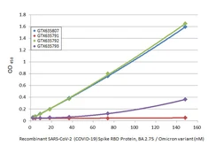 Anti-SARS-CoV-2 (COVID-19) Spike RBD antibody [HL1002] used in ELISA (ELISA). GTX635791