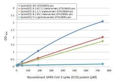 Anti-SARS-CoV-2 (COVID-19) Spike RBD antibody [HL1003] used in ELISA (ELISA). GTX635792