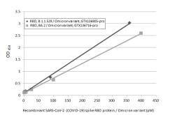 Anti-SARS-CoV-2 (COVID-19) Spike RBD antibody [HL1003] used in ELISA (ELISA). GTX635792