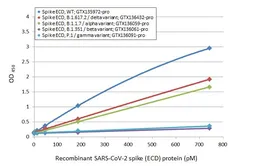 Anti-SARS-CoV-2 (COVID-19) Spike RBD antibody [HL1004] used in ELISA (ELISA). GTX635793