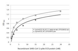 Anti-SARS-CoV-2 (COVID-19) Spike RBD antibody [HL1003-HU] used in ELISA (ELISA). GTX635866