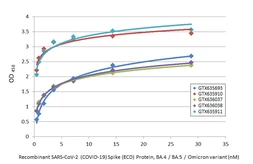 Anti-SARS-CoV-2 (COVID-19) Spike S2 antibody [HL1038] used in ELISA (ELISA). GTX635910