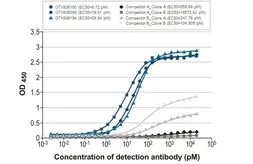 Anti-Influenza B virus Nucleoprotein antibody [HL1069] used in ELISA (ELISA). GTX636100