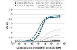 Anti-Influenza B virus Nucleoprotein antibody [HL1073] used in ELISA (ELISA). GTX636194