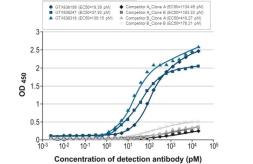 Anti-Influenza A virus Nucleoprotein antibody [HL1078] used in ELISA (ELISA). GTX636199