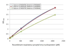 Anti-Respiratory Syncytial virus Nucleoprotein antibody [HL1247] used in ELISA (ELISA). GTX636649