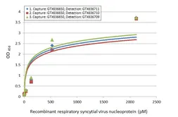 Anti-Respiratory Syncytial virus Nucleoprotein antibody [HL1296] used in ELISA (ELISA). GTX636710