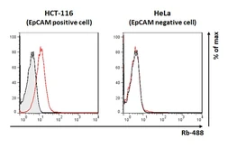Anti-EpCAM antibody [HL1338] used in Flow cytometry (FACS). GTX636758
