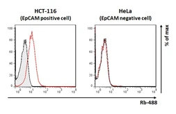 Anti-EpCAM antibody [HL1339] used in Flow cytometry (FACS). GTX636759