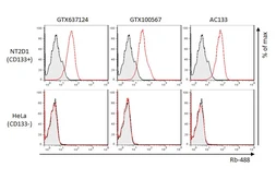 Anti-CD133 antibody [HL1631] used in Flow cytometry (FACS). GTX637124