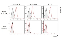 Anti-CD133 antibody [HL1631] used in Flow cytometry (FCM). GTX637124