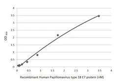 Anti-Human Papillomavirus type 18 E7 antibody [HL2789] used in ELISA (ELISA). GTX639657