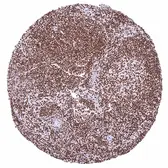 Anti-BRD4 antibody [HMV4275] HistoMAX&trade; used in IHC (Paraffin sections) (IHC-P). GTX643511