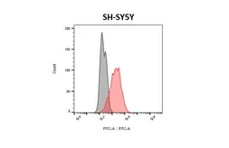 Anti-Dopamine Receptor D2 antibody [HL4284] used in Flow cytometry (FCM). GTX643524