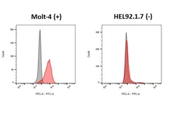 Anti-CCR9 antibody [HL4846] used in Flow cytometry (FCM). GTX644909