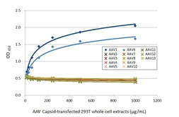 Anti-AAV1 + AAV6 Capsid protein VP1 + VP2 + VP3 antibody [HL5163] used in ELISA (ELISA). GTX645359
