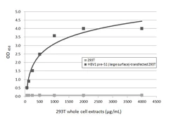 Anti-Hepatitis B virus preS1 antibody [HL5349] used in ELISA (ELISA). GTX645827