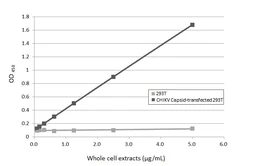 Anti-Chikungunya virus Capsid antibody [HL6528] used in ELISA (ELISA). GTX648984