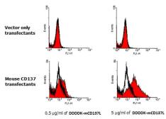 Mouse 4-1BBL / CD137L protein, DDDDK tag. GTX65633-pro