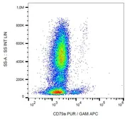 Anti-CD79a antibody [HM57] used in Flow cytometry (FACS). GTX74022