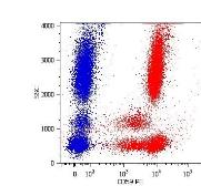 Anti-CD59 antibody [MEM-43] (PE) used in Flow cytometry (FCM). GTX74619