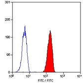 Anti-CD32 antibody [AT10] (FITC) used in Flow cytometry (FCM). GTX74626