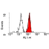 Anti-CD98 antibody [44D7] used in Flow cytometry (FCM). GTX74637
