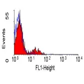 Anti-CD39 antibody [A1] (FITC) used in Flow cytometry (FACS). GTX74822