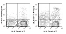Anti-CD11c antibody [N418] (PE) used in Flow cytometry (FCM). GTX74941