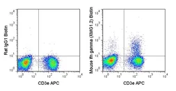 Anti-Interferon gamma antibody [XMG1.2] (Biotin) used in Flow cytometry (FACS). GTX75118