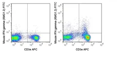 Anti-Interferon gamma antibody [XMG1.2] (FITC) used in Flow cytometry (FACS). GTX75119